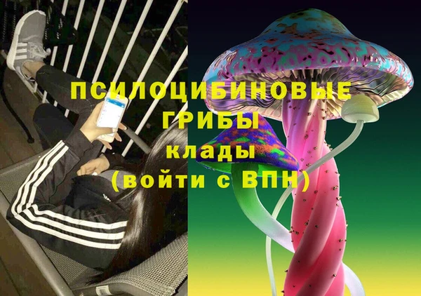 ПСИЛОЦИБИНОВЫЕ ГРИБЫ Абинск