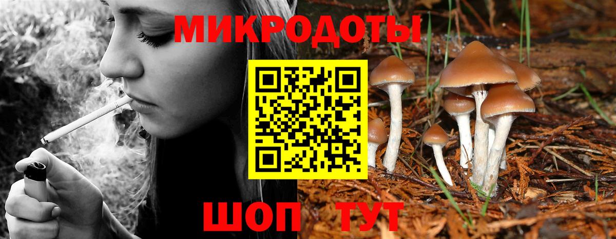 Галлюциногенные грибы GOLDEN TEACHER  Псилоцибиновые грибы Psilocybe  Вход с VPN  дарнет шоп  Советский 